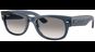 Ray-Ban RB0832S 684532