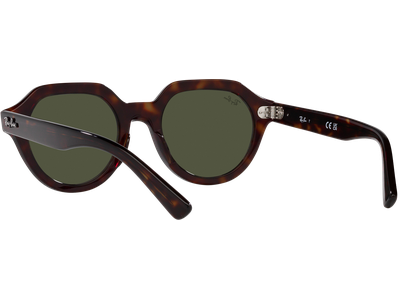 Ray-Ban Sonnenbrille Unisex Ray-Ban Gina RB4399 Ansicht 5