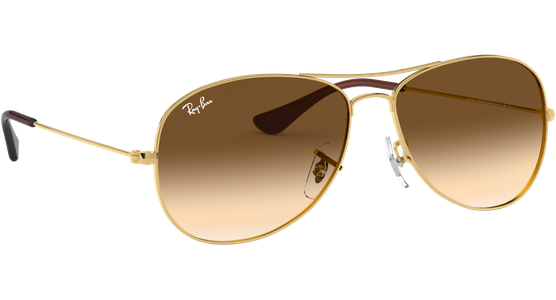 Ray-Ban Cockpit RB3362 001/51 - Ansicht 12