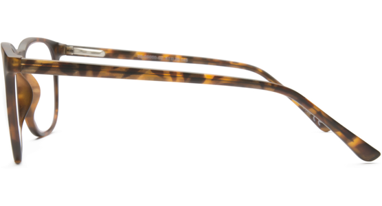 4read CONCEPT Berlin Havanna 2,5 Dioptrien  - Ansicht 4