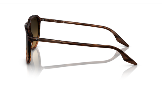 Ray-Ban RB2203 13920A - Ansicht 4