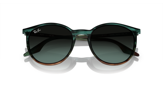 Ray-Ban RB2204 1394GK - Ansicht 6