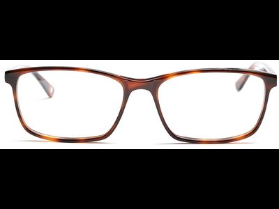 FRAIMS Brille Herren FRAIMS 03-97070-03 Phil, Havanna Ansicht 2