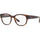 Ray-Ban RX7210 2012