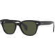 Ray-Ban RB0880S 901/31