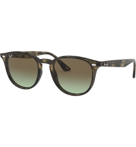 Ray-Ban RB4259 731/E8 51 - Ansicht 2