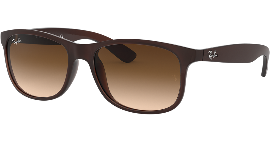 Ray-Ban Sonnenbrille Herren Ray-Ban Andy RB4202 606971 55 Ansicht 1